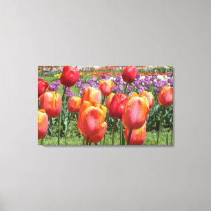 Tulipas Laranja Na Canvas Do Parque Elizabeth