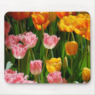 Tulipas Mousepad do primavera