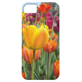 Tulipas nas capas de iphone da brisa