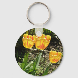 Tulipas no Chaveiro do sol