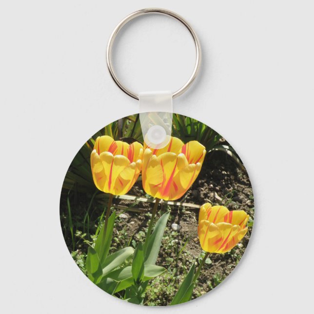 Tulipas no Chaveiro do sol (Frente)