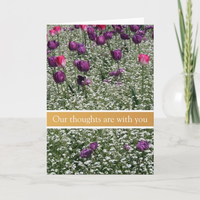 Tulipas para Jardins Pacíficos Cartão de condolênc (Frente)