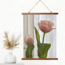 Tulipas Pastel Rosa Delicado Fotografia Bonita