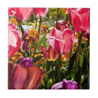 Tulipas plorais, azulejo cerâmico
