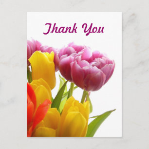 Tulipas Púrpuras e Amarelas Obrigado Cartões posta