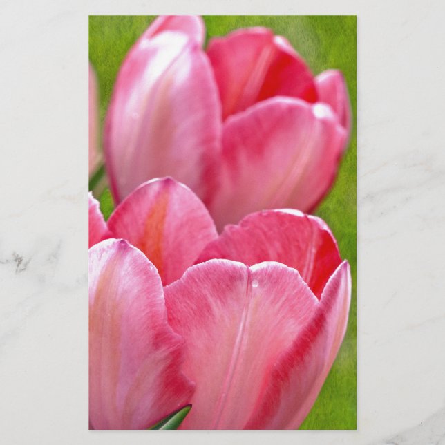 Tulipas Rosa (Frente)