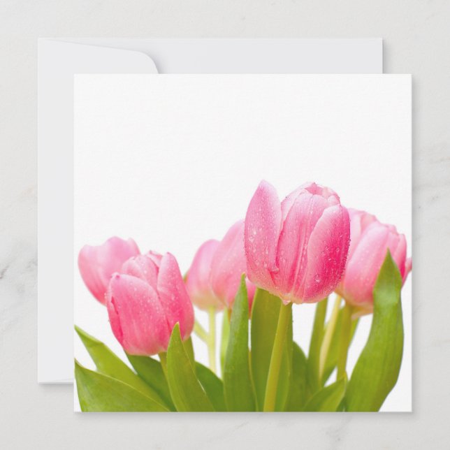 Tulipas Rosa (Frente)