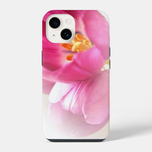 Tulipas Rosa Bonito (Verso)