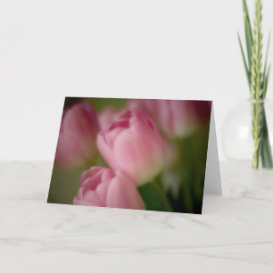 Tulipas Rosa - Cartão de Saudação