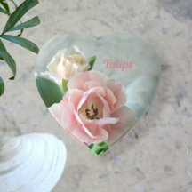 Tulipas Rosa Pastel