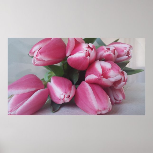 Tulipas rosa, Poster (Frente)