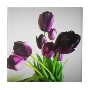 Tulipas Roxas Escuras