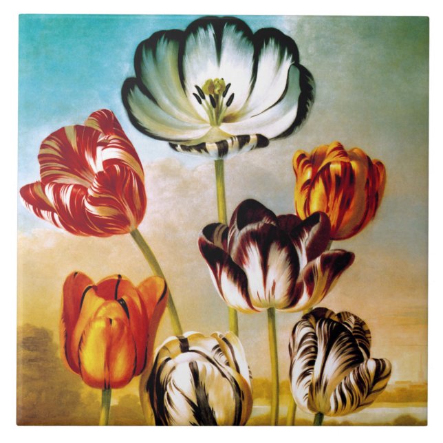 Tulipas sob o Azulejo do céu (Frente)