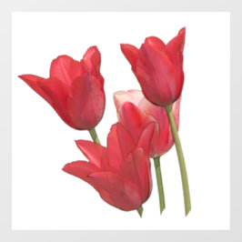 Tulipas Vermelhas