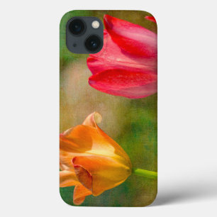 Tulipas vermelhas e amarelas sobre fundo texturiza