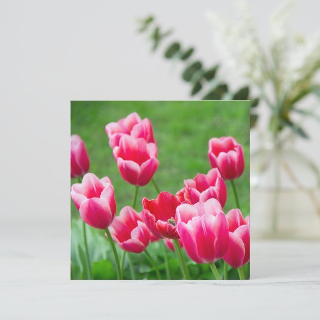 Tulipas vermelhas fofas no jardim (Em pé/Frente)
