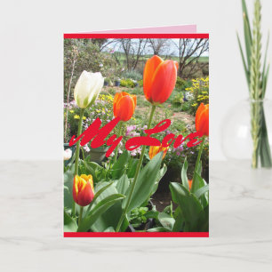 Tulipas Vermelhas Meu Amor Cartão de flores de pri