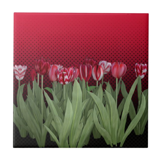Tulipas Vermelhas no Gradiente (Frente)
