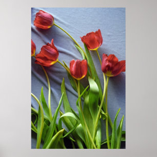 Tulipas vermelhas para o Impressão de Poster Kers
