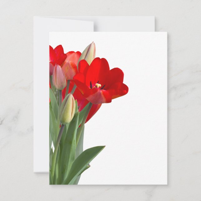 Tulips (Frente)