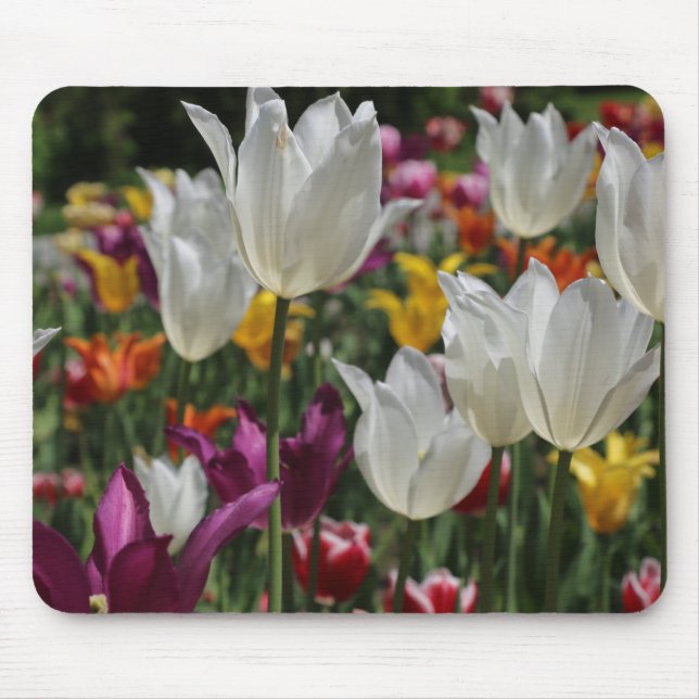 Tulips Mousepad (Frente)