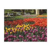 Tulips Salve O Cartão-Postal De Anúncio De Data