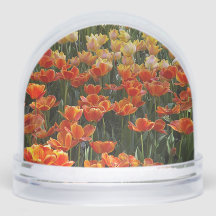 Tulips Snow Globe