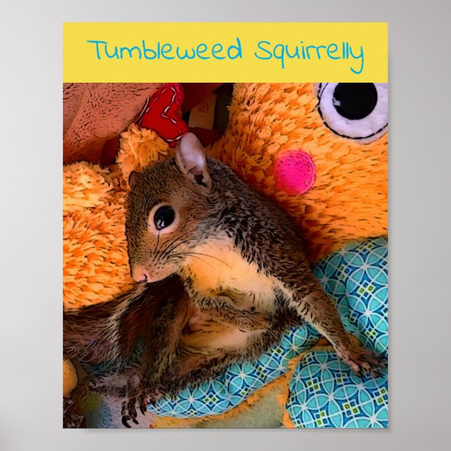 Tumbleweed poster (Frente)