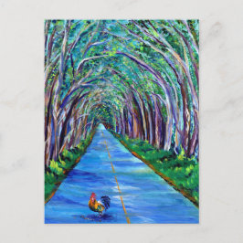 Túnel de árvore Kauai com cartão postal de galeria