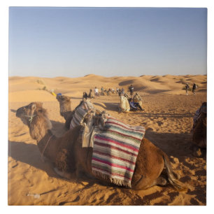 Tunísia, Área de Ksour, Ksar Ghilane, Grand Erg 3