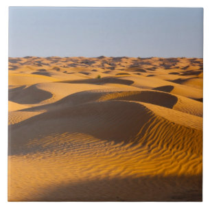 Tunísia, Área de Ksour, Ksar Ghilane, Grand Erg 4