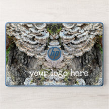 "Turco Ave Cogumelos"