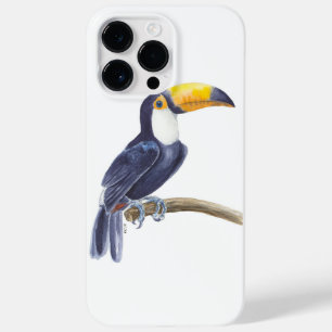 Turiano, pássaro tropical