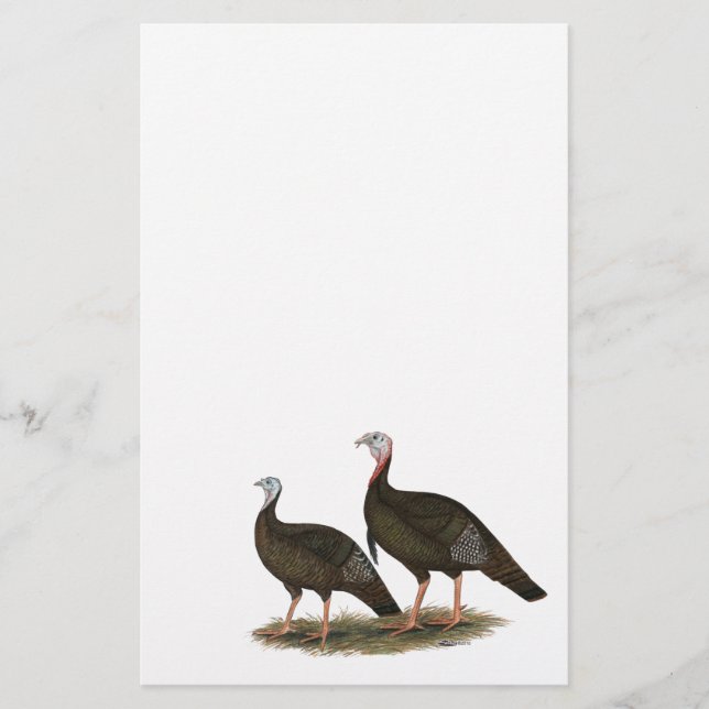 Turkeys East Wild Pair (Frente)