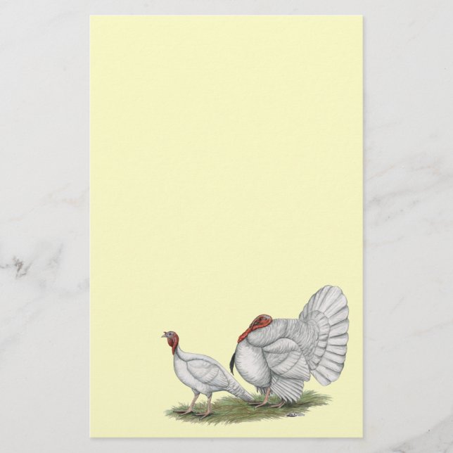 Turkeys White Holland (Frente)