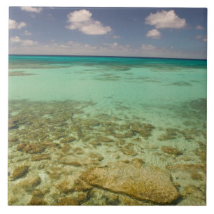 Turks e Caicos, Ilha Grand Turk, Cockburn 2