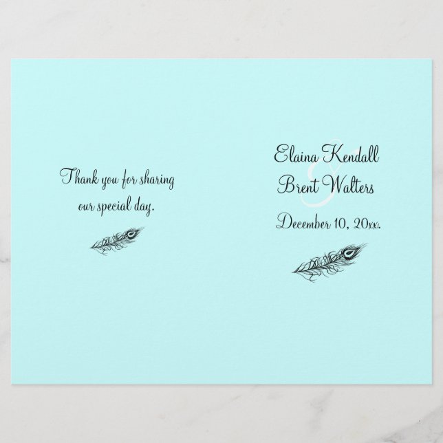 Turquesa Agite seu Programa de Casamento de Penas  (Frente)