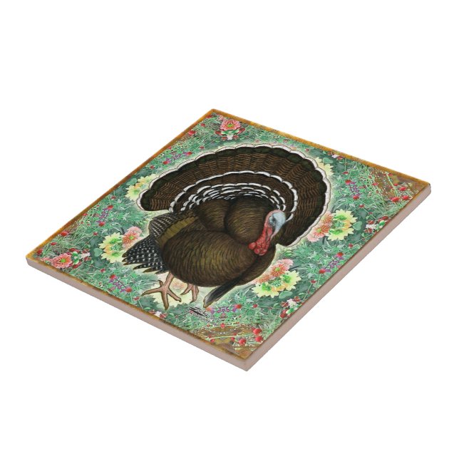 Turquia nos Verdes (Lateral)