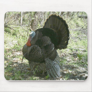 TURQUIA SELVAGEM MOUSEPAD
