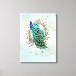 Turquoise Shabby Peacock - Canvas
