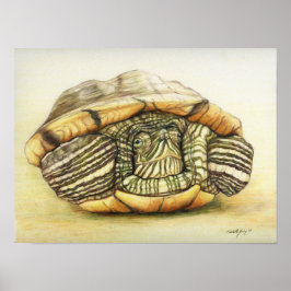 "Turtle" Art Reproduction Impressão