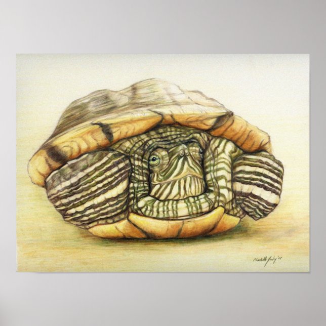 "Turtle" Art Reproduction Impressão (Frente)