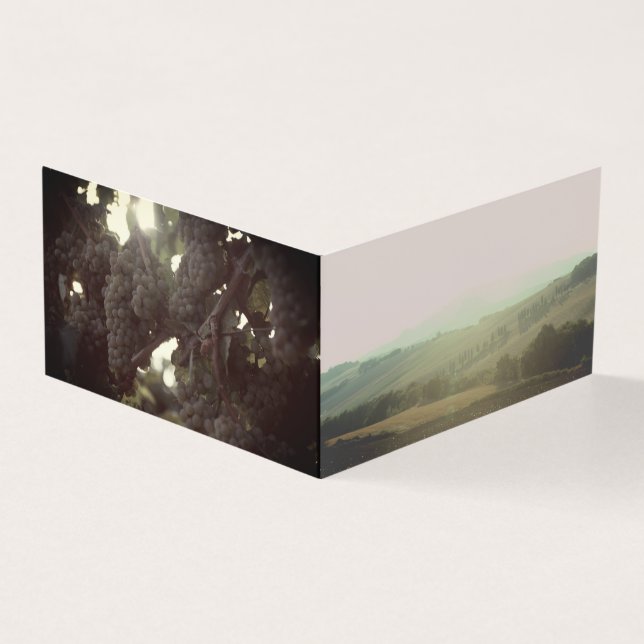 Tuscan Wine Tasting (Exterior)