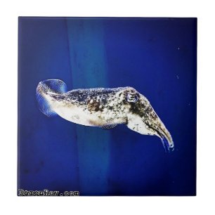 Tutlefish