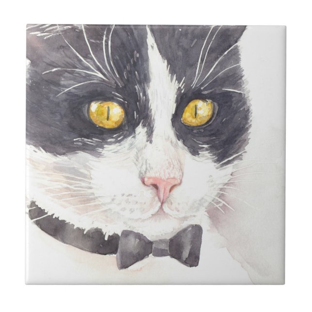 Tuxedo cat (Frente)