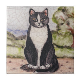 Tuxedo Cat Black & White Landscape Antiguidade Vin