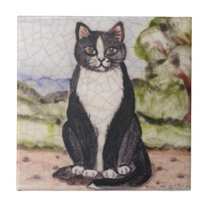 Tuxedo Cat Black & White Landscape Antiguidade Vin