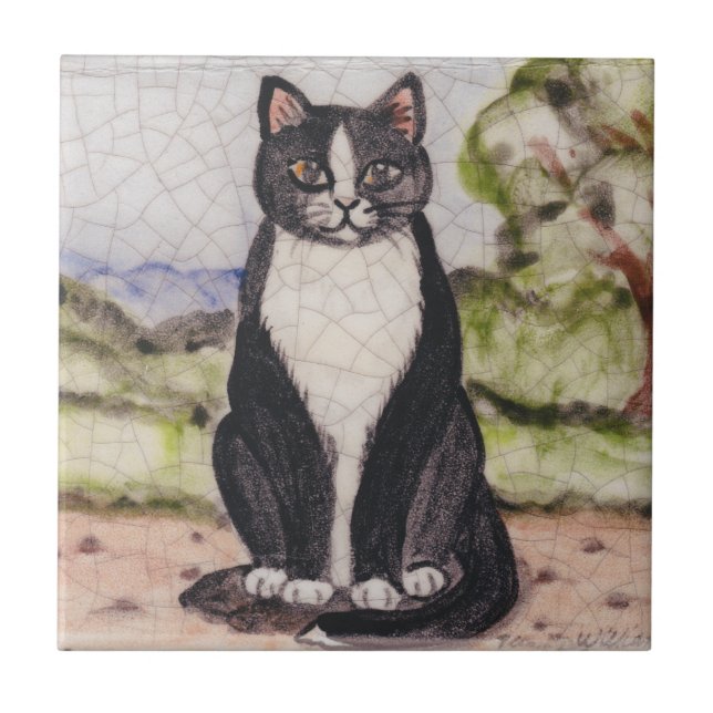 Tuxedo Cat Black & White Landscape Antiguidade Vin (Frente)
