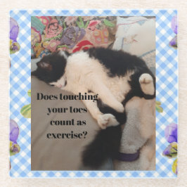 Tuxedo Cat Engraçado Cotação Preta e Branca Gatos