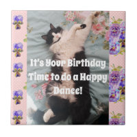 Tuxedo Gato Dormindo Engraçado Gatos Felizes Azule
